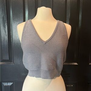 Bailey 44 Gray and Purple Fitted Crop Tank Top